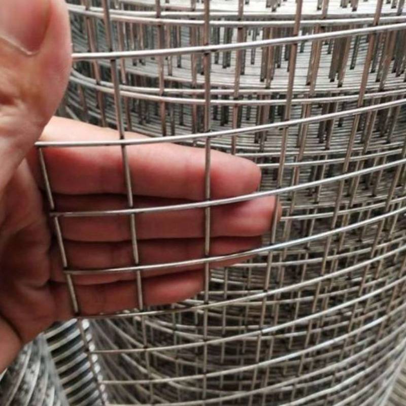 围一 镀锌加密网 1m*20m 卷高清大图