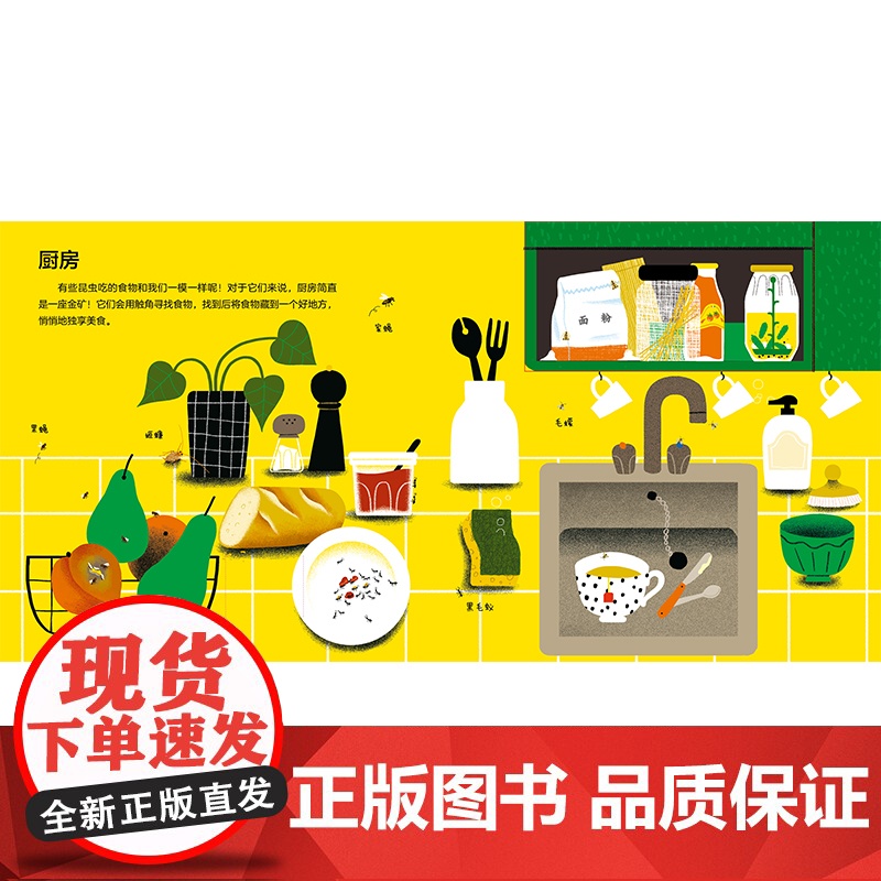 我们的虫虫邻居3-6-10岁/自然科学昆虫翻翻书/身边的科普虫子的秘密亲子共读精装绘本图画书少年儿童从出版社高清大图