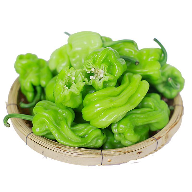 云南新鲜皱皮辣椒15kg虎皮辣椒