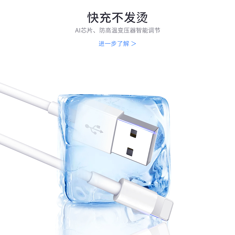 索弘5w充电器头套装适用于苹果