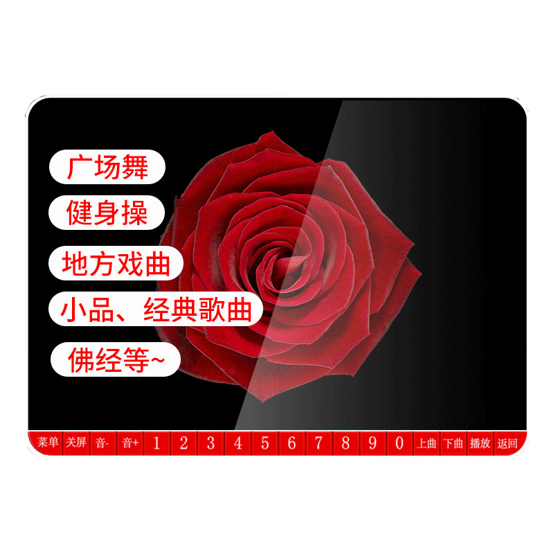 先科(SAST)v26看戏机音箱 唱戏机老人视频播放器收音机扩音器 听戏机老年广场舞音响2.0声道V26+内存卡图片