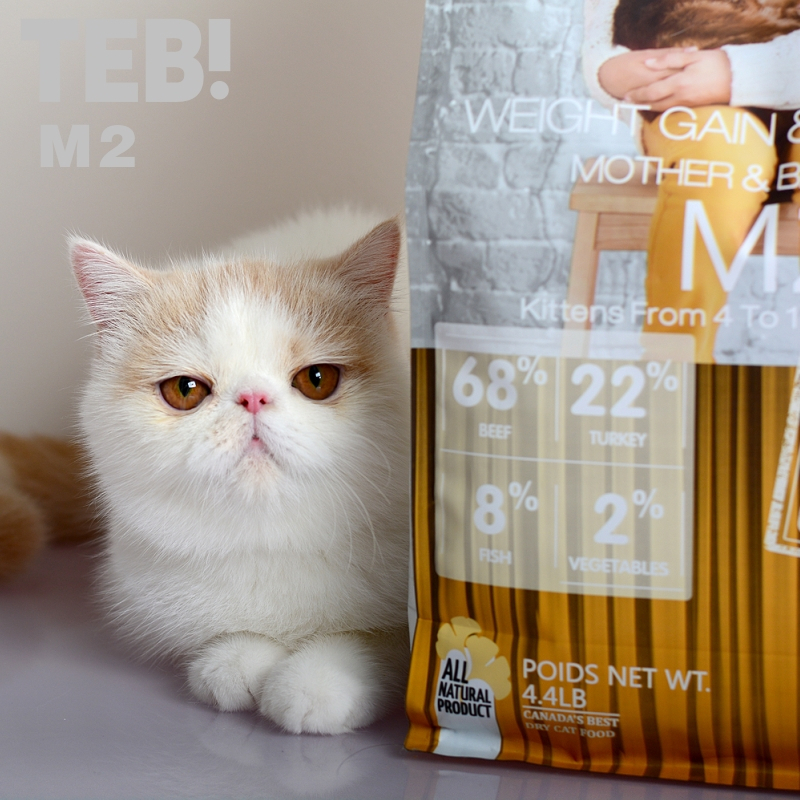 TEB!汤恩贝M2猫粮幼猫及孕猫高能增肥发腮营养补充猫干粮4.4磅2kg无谷幼猫粮高清大图