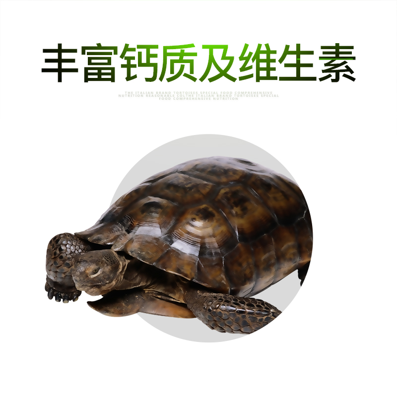 意牌中华龟小乌龟食物专用粮上浮钙颗粒型龟粮甲鱼饲料饲料补高高清大图