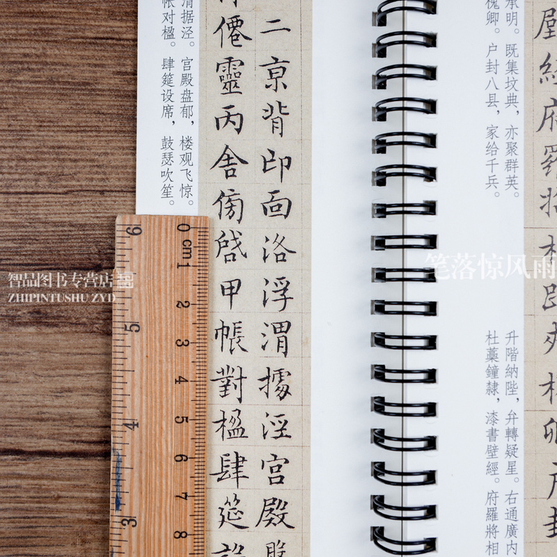 [正版]文徵明小楷千字文琴赋老子列传草堂十志醉翁亭记 经典碑帖书法临摹字卡 原大墨迹本楷书毛笔书法字帖附简繁对照释文