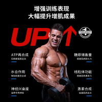 Muscletech肌肉科技高性能锌镁肌酸粉300g+高性能支链氨基酸(冰红茶味)269g