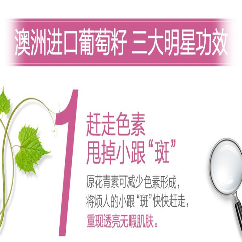 三真集 Swisse斯维诗 葡萄籽精华片180片/瓶 含原花青素和VC 支持胶原蛋白生成 澳洲进口 迪丽热巴同款 单瓶价