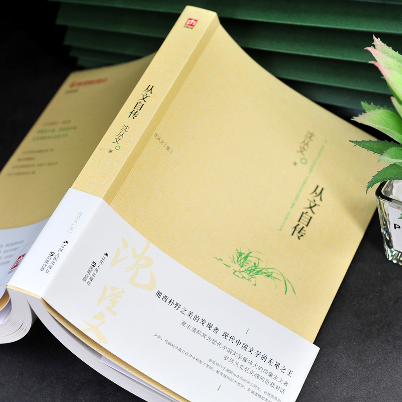 [正版]从文自传 沈从文 现代文学经典书籍排行榜 文学读物 初中学生课外书阅读 名著阅读高清大图