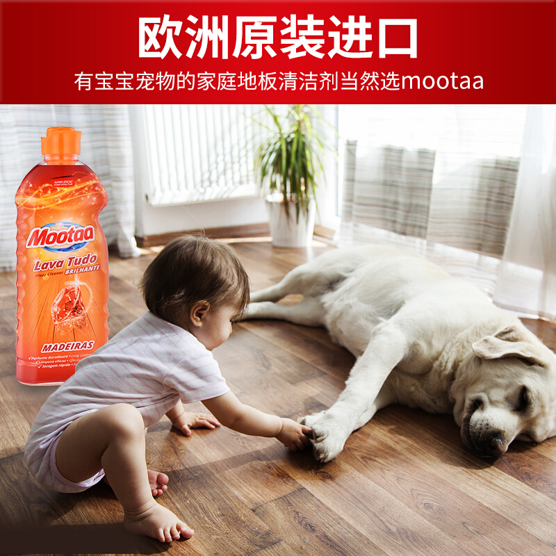 膜太(MOOTAA) 木地板清洁剂实木复合地板去污清洁剂