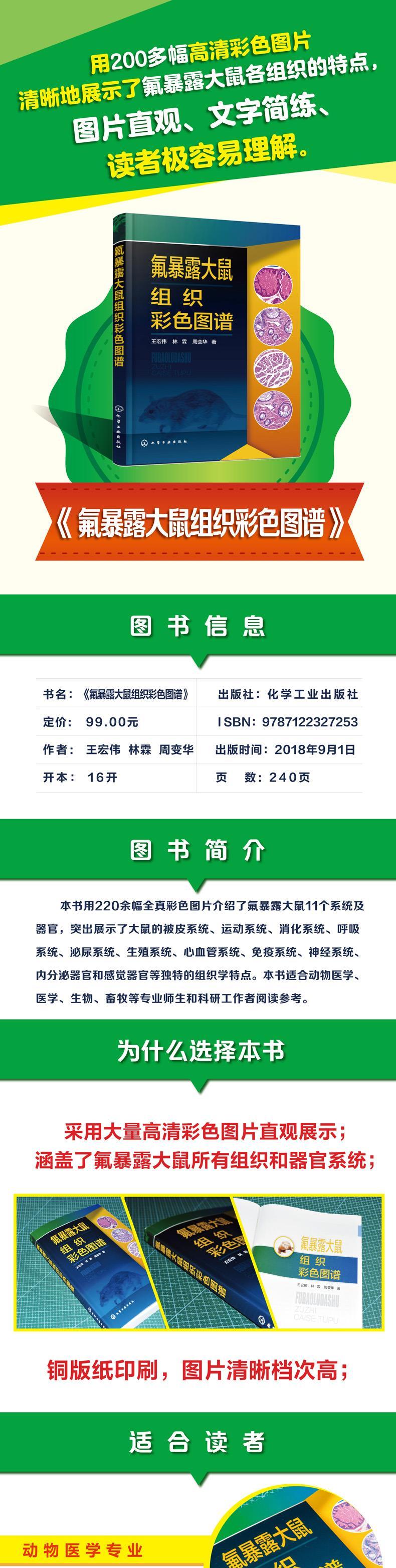 氟暴露大鼠组织彩色图谱