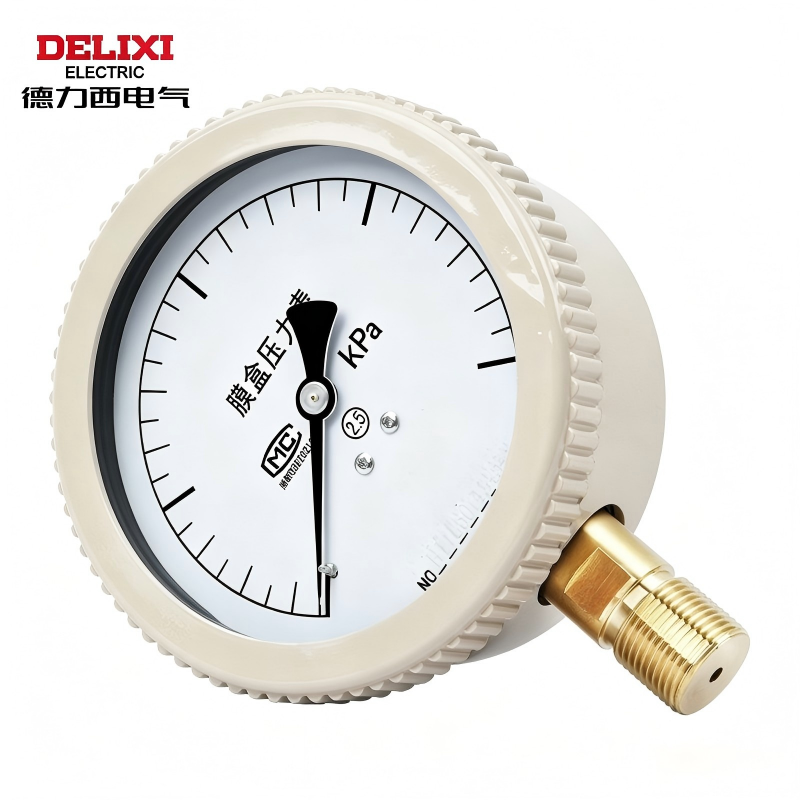 德力西(DELIXI) 膜合压力表 YE-100 40KPA(单位:个)高清大图