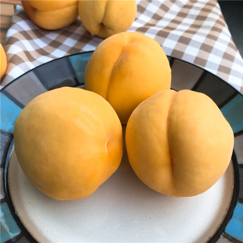 中桃金蜜黄桃4.5-5斤 12个左右 山东蒙阴黄毛桃