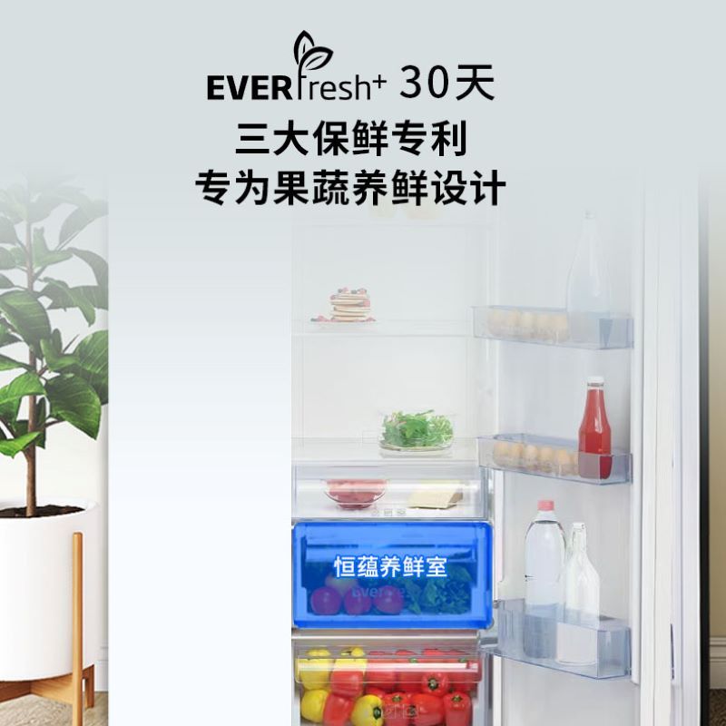 倍科(beko)581L对开门冰箱 欧洲原装进口 蓝光养鲜 风冷无霜 GN163120ZIW