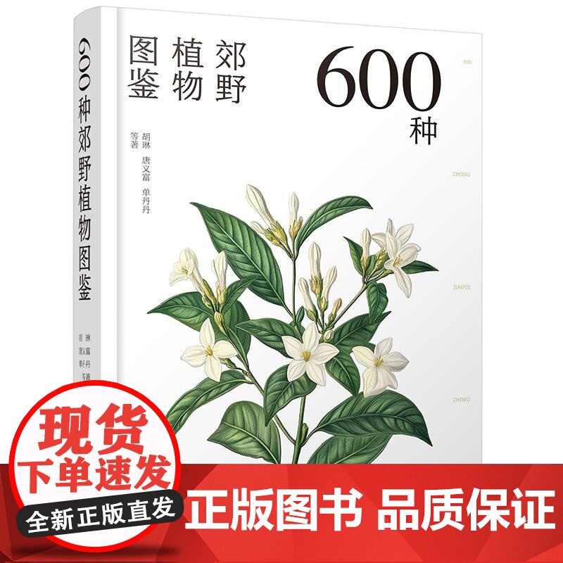 600种郊野植物图鉴 常见植物野外识别 植物识别大百科 野外实拍彩图 树形枝叶植物花卉种子观察图鉴风景郊野旅游植物科普大高清大图
