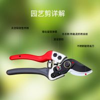 苏宁宜品推荐 园林设计枝剪 8寸