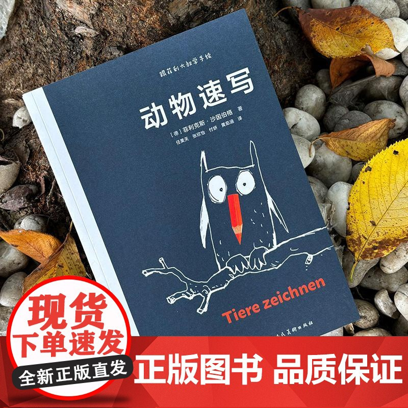 动物速写 跟菲利大叔学手绘德菲利克斯沙因伯格上海人民美术出版社素描绘画基础艺术水彩动物速写速写插画自学