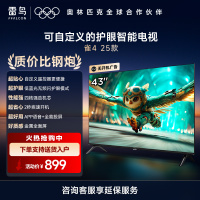 雷鸟雀4 25款43英寸4K 高清智能网络WiFi语音低蓝光认证液晶平板电视机43F195C