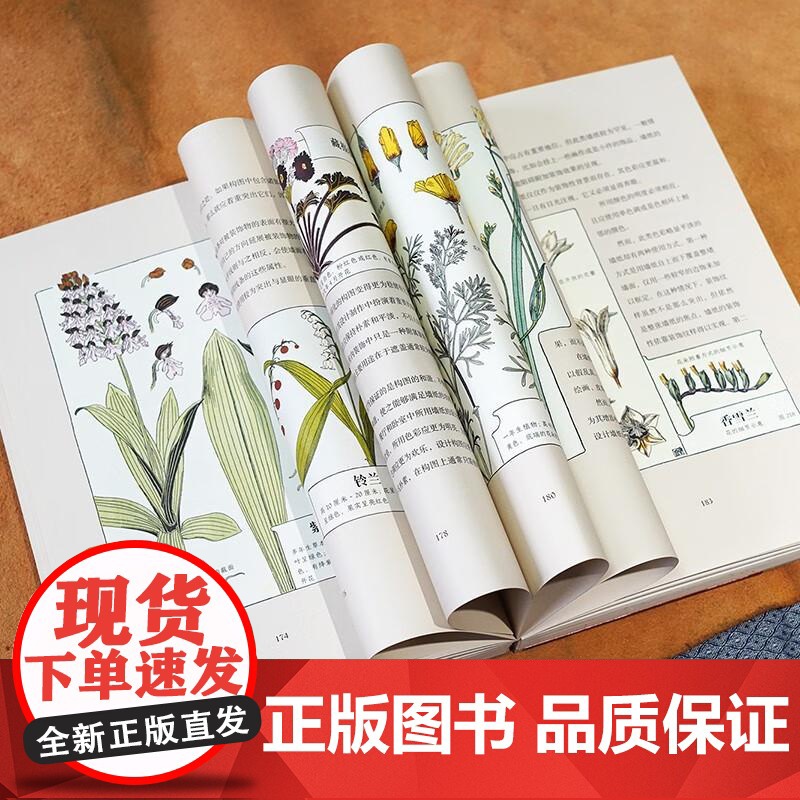 复古艺术馆系列 万物有文 新艺术植物装饰 520情人节节日礼物书自然治愈艺术手绘设计书籍 后浪出版高清大图