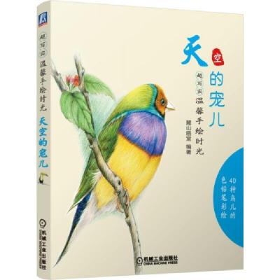 11天空的宠儿(超写实温馨手绘时光)978711148576622
