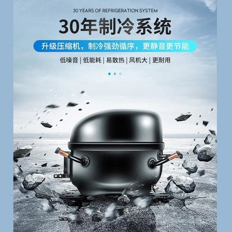 百利(BAILI)SD-130DK商用展示柜移动摆摊冰箱餐车专用冰柜商用冷冻柜三轮车摆地摊烧烤柜台面保鲜冷藏柜水果高清大图