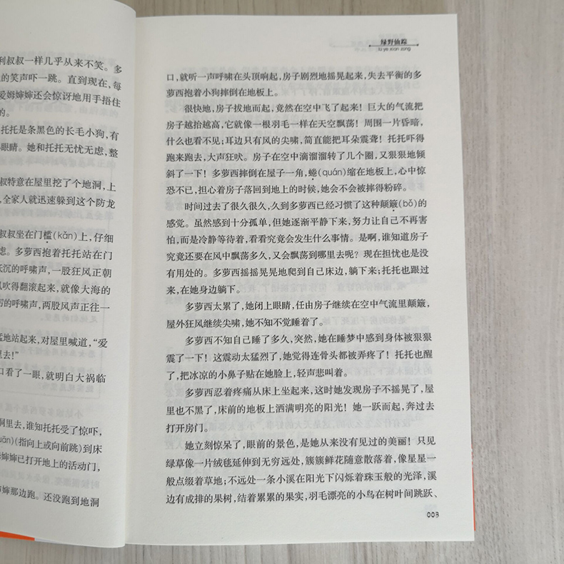 [正版]2024秋下学期海门学校阅读书好书伴我成长系列寒假三年级上册3年级上绿野仙踪中小学语文名师导读丛书江苏凤凰少年儿高清大图