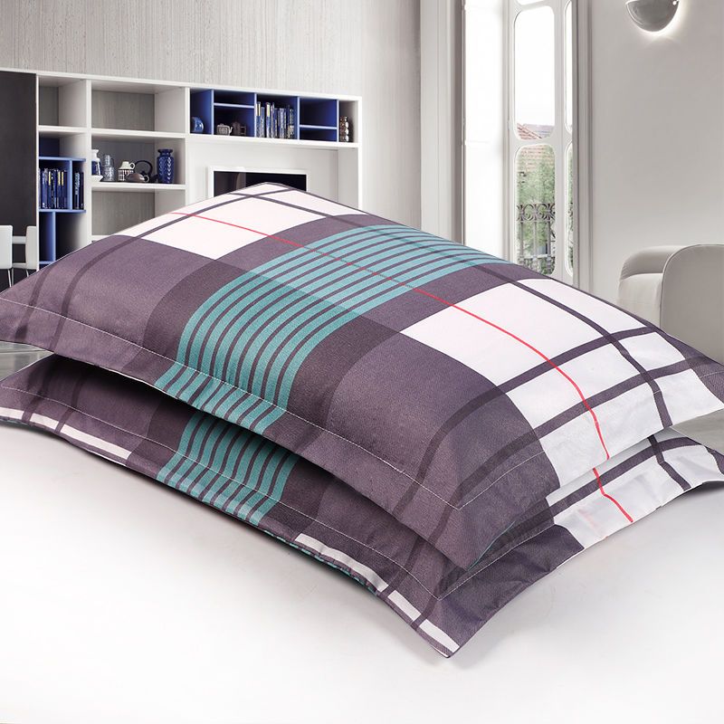 枕头套一对秋冬单个单人成号加厚枕套枕头皮磨毛高清大图