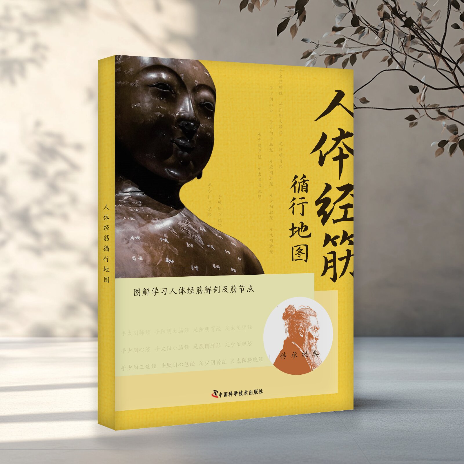 3册]人体经筋循行地图+人体经筋解剖图谱+点位九大绝技 [正版]正品人体经筋循行地图图解+人体经筋解剖图解学习人体十高清大图