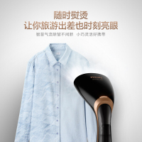 飞利浦(PHILIPS)挂烫机 便携手持式蒸汽熨烫机 旅游 家用迷你型挂式电熨斗熨烫刷 炫酷黑 GC362 -1300