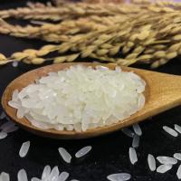 松然20年新米东北方正长粒香大米富硒米农家非五常大米稻花香5kg