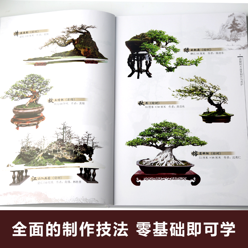 [正版图书]图解树木盆景制作与养护 盆景书籍盆栽图书大全树木盆景造型设计书栽培技术盆景栽培技术书中小型盆景制作图解家庭园高清大图