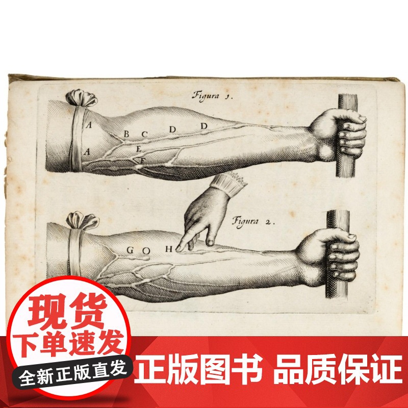 西方现代思想史:从中世纪到启蒙运动 西方思想史扛鼎之作 风行欧美高校半个多世纪的思想史经典 世界通史书籍高清大图