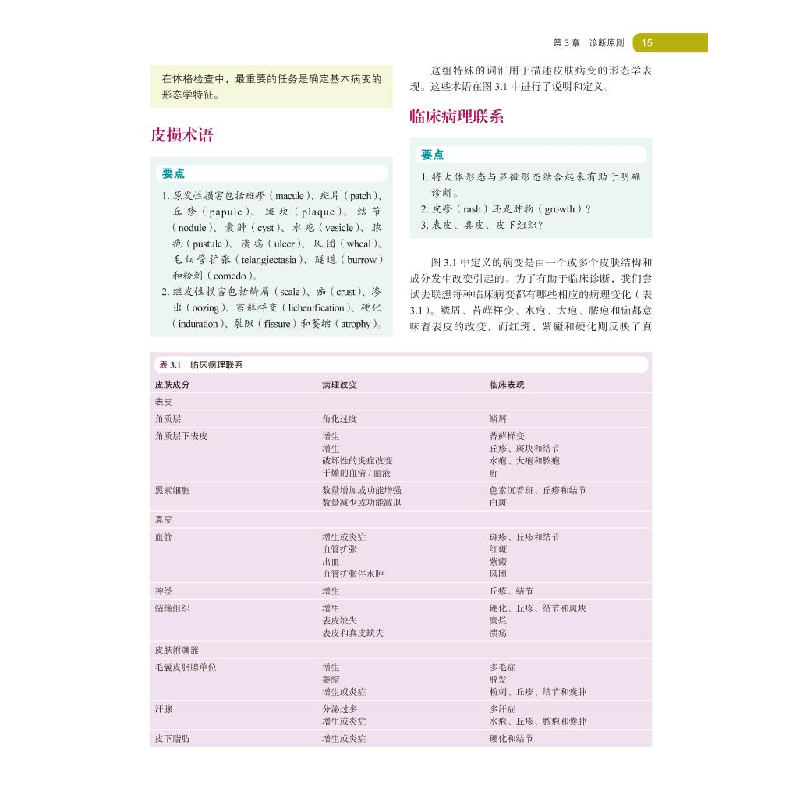 醉染图书皮肤病学原理——诊断与治疗精要(第6版)9787565924057高清大图