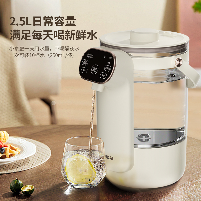 HYUNDAI电热水壶(电开水瓶) RC-K25A高清大图