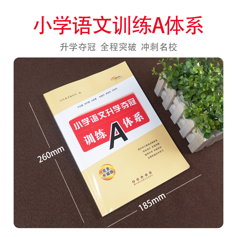 [正版]新版全新升级版共2册小学语文升学夺冠知识大集结+训练A体系 小升初语文总复习资料中小学辅导书小考试辅导工具书知高清大图