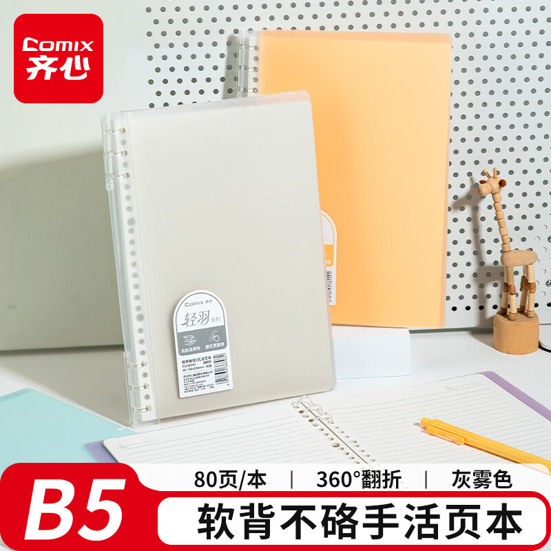 齐心 ECHB540 轻羽PP面软背脊双3孔活页本 B5 40张 透明灰