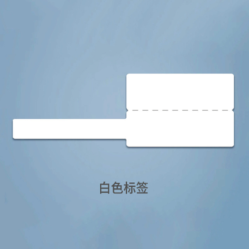 中电鼎润 FC-2000C-4 30mm*55mm P型标签 1.00 盒/张 (计价单位:张) 白高清大图