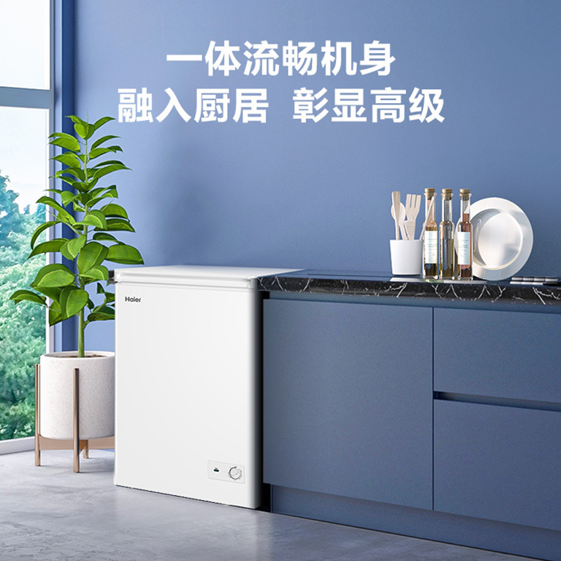 海尔(Haier)100升 家用卧式冰柜 冷柜 小冰箱 减霜80% 一级能效 断电保护 带脚轮BC/BD-100GHDT高清大图