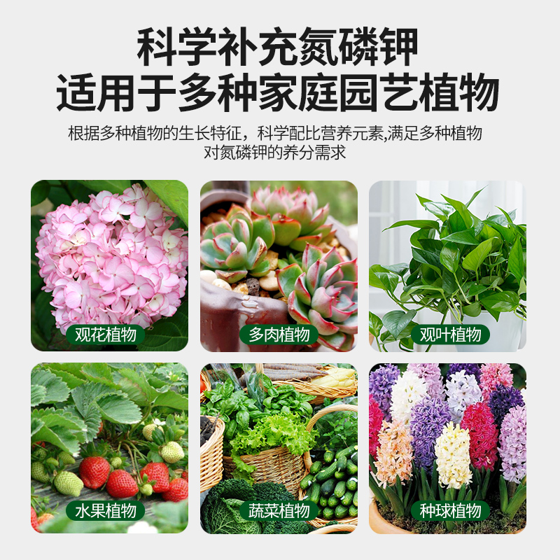 [醉染正版]植物营养片通用型家庭园艺缓释肥养花肥料家用盆栽通用花卉果蔬肥高清大图