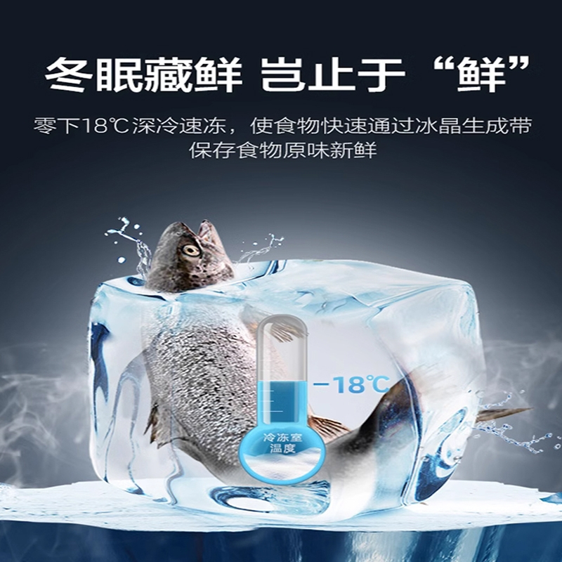 新飞节能小冰箱家用小型单双门省电冷藏冷冻宿舍租房用办公室_双门BCD-38A108银色节能款