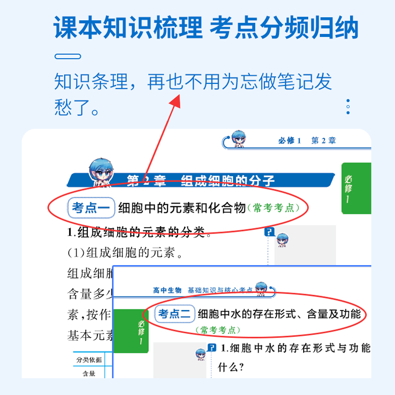 物理公式定律与典型例题 高中通用 [正版]2023新版高中蓝精灵口袋书数学语文基础知识手册物理化学公式定律大全高考英语生高清大图