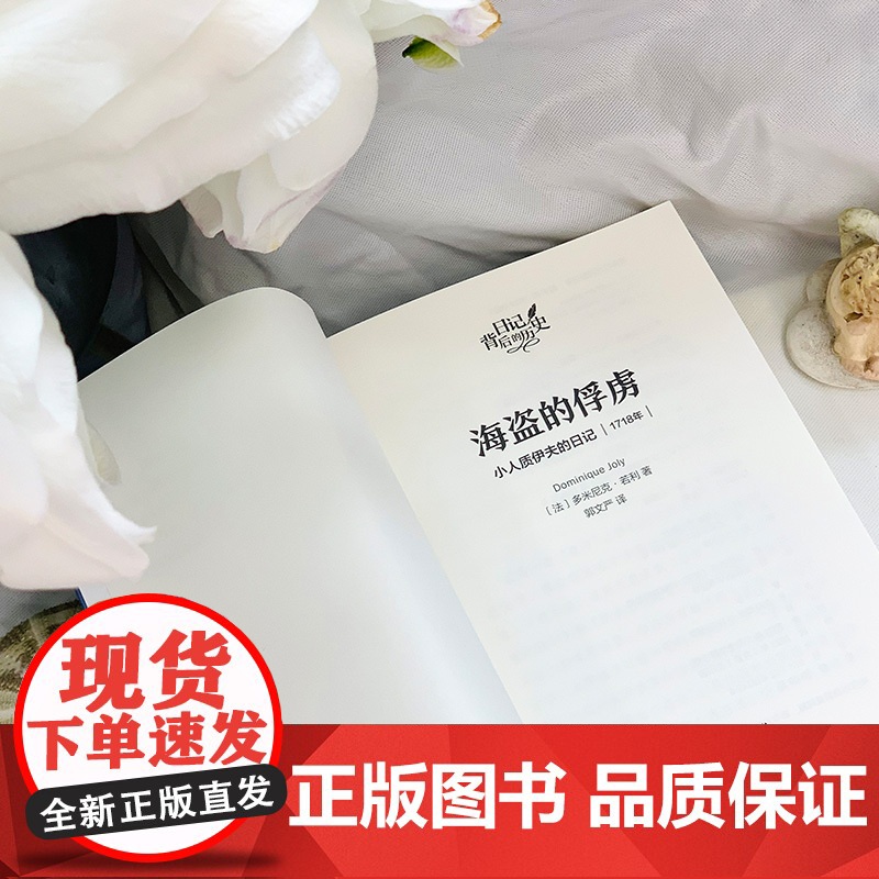 海盗的俘虏:小人质伊夫的日记(日记背后的历史)(著名学者钱理群作序,用精彩故事再现难忘历史)高清大图