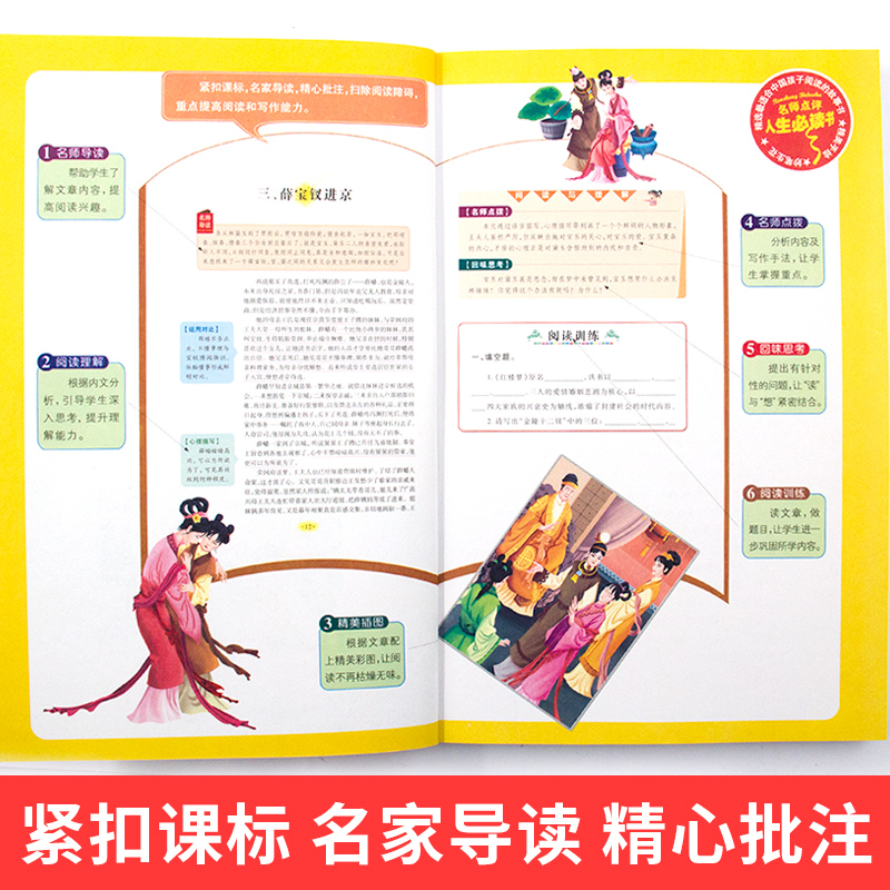 [正版] 苦儿流浪记 小学生青少年版课外阅读书籍三四五六年级课外书必读世界经典名著3-4-5-6年级8-9-10-12