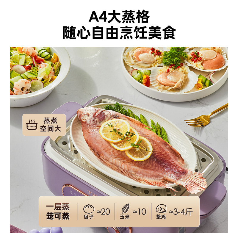 泰瑞达(TER)蒸炖锅电蒸锅多功能家用电炖锅隔水炖盅全自动预约蒸煮锅 T-ZG01 木槿紫带炖盅