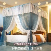 三开门蚊帐家用双层宫廷公主蚊帐超柔加密帐纱双人不锈钢支架1.2m