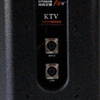 山水（SANSUI） SP121套装家庭影院十二英寸有源重低音音箱低音炮语音点歌卡拉ok家庭ktv音响套装 舞台功放音响