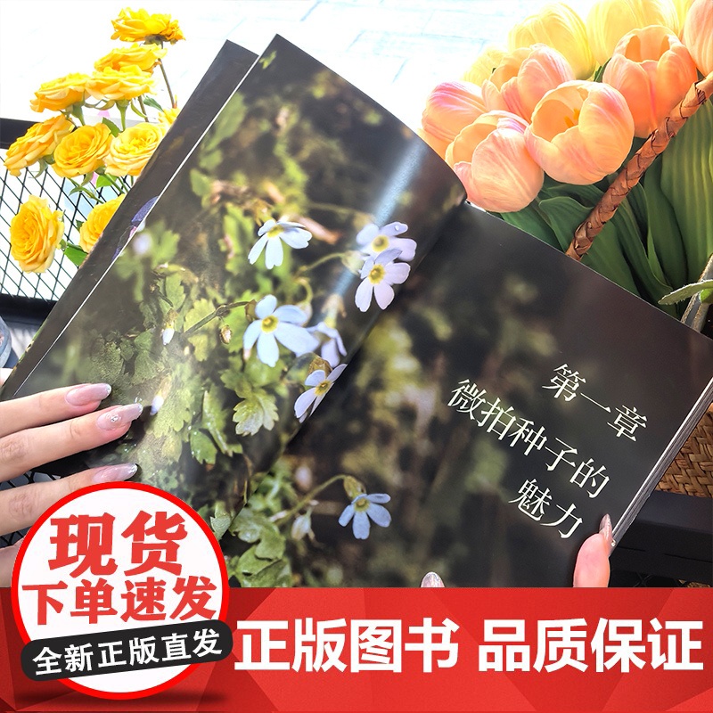 探秘种子 显微镜下的奇妙世界 微观种子 显微镜观察种子 奇特种子 青少年植物科普书籍 种子科普 青少年大自然显微镜观察科高清大图