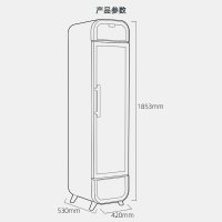 西科FD-LD42 181升 纤细款冷冻柜 便利店商场透明玻璃风冷立展示柜 单门饮料酸奶超市便利店保鲜柜