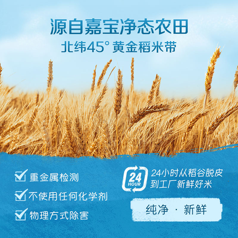 嘉宝谷启嘉贝番茄牛肉6罐装
