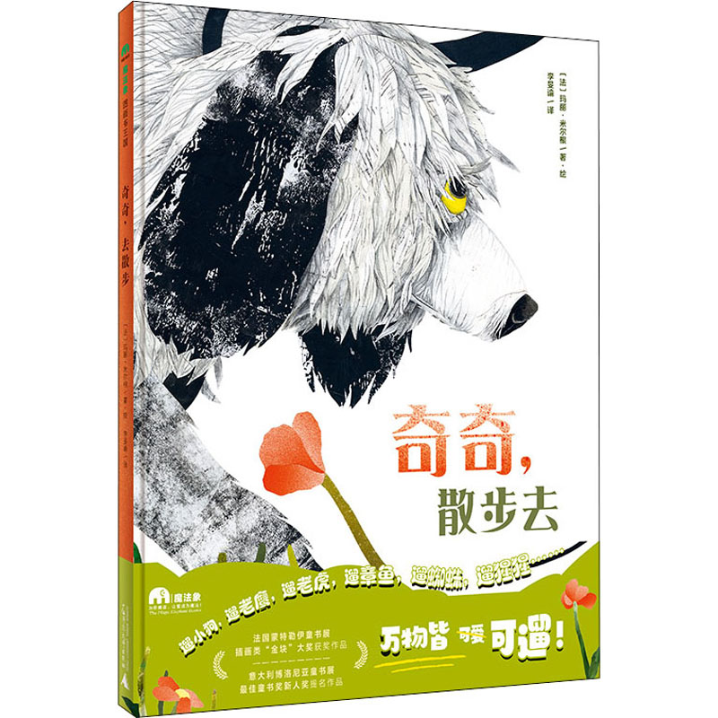 [M]奇奇,散步去-9787559849304高清大图