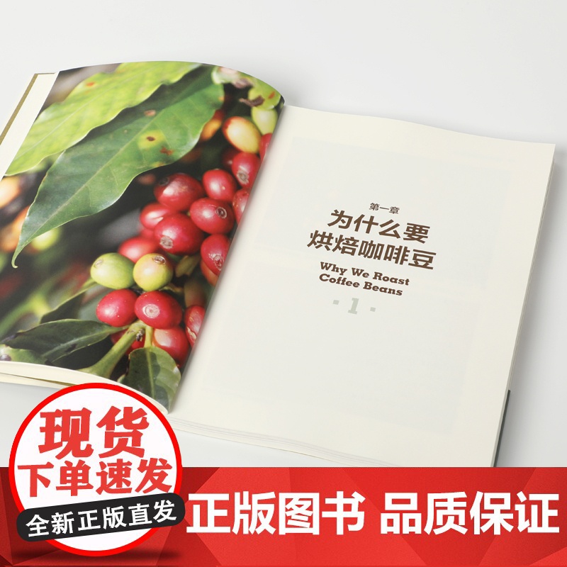 咖啡烘焙 烘豆基础手册+进阶实践手册套装2册 斯科特拉奥 著 掌握自己杯中咖啡风味 咖啡爱好者 生活高清大图