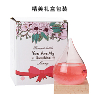 瑞仕兹 天气预报风暴瓶生日礼物抖音同款七夕情人节小创意实用小摆件迷你暴风气象瓶生日送男女朋友闺蜜定制小礼品diy刻字